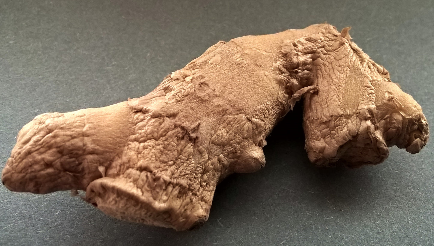 Ginger - vegetable (Wikimedia Commons)