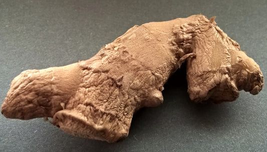 Ginger - vegetable (Wikimedia Commons)