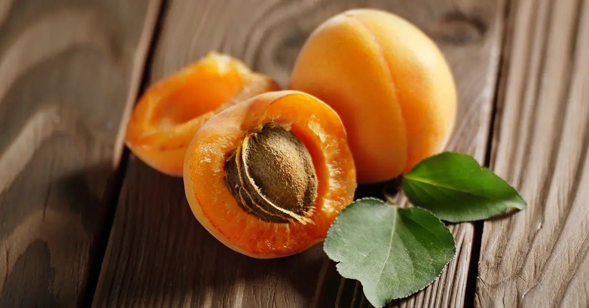 Apricot
