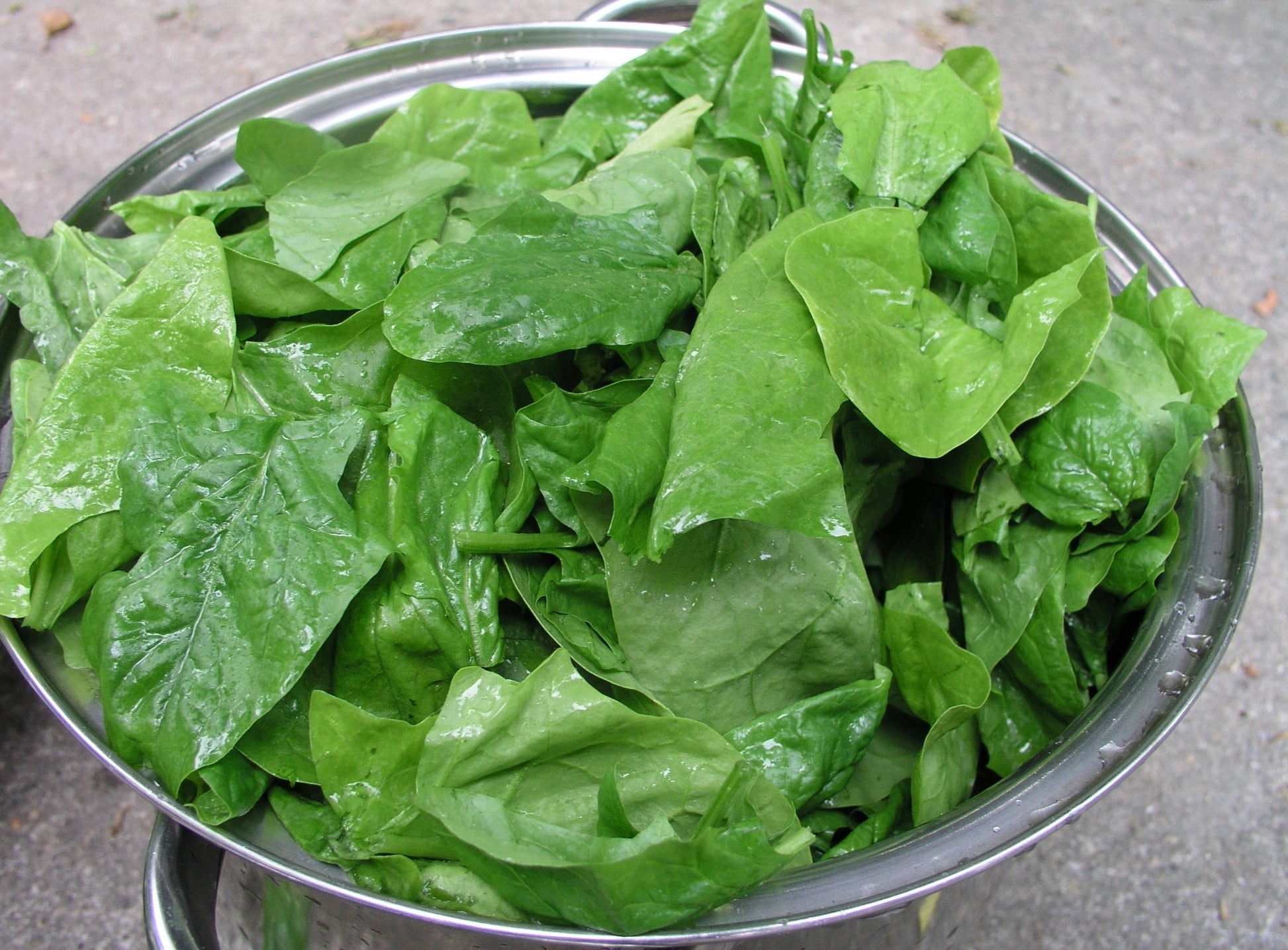 Spinach - vegetable (Wikimedia Commons)