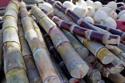 Sugar cane - fruit (Wikimedia Commons)