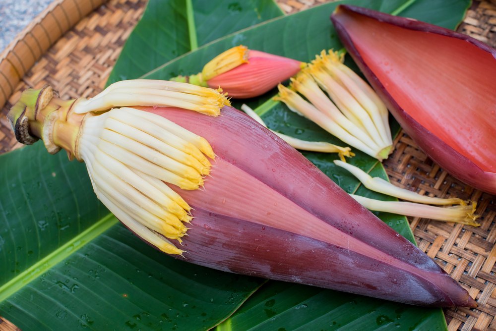 Banana flower